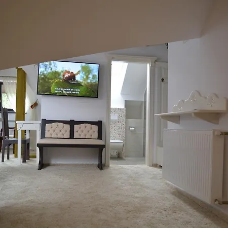 Guest house Conacul Bratescu