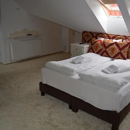 Guest house Conacul Bratescu 4*