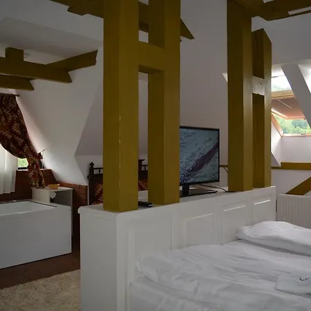 Guest house Conacul Bratescu