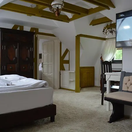 Guest house Conacul Bratescu
